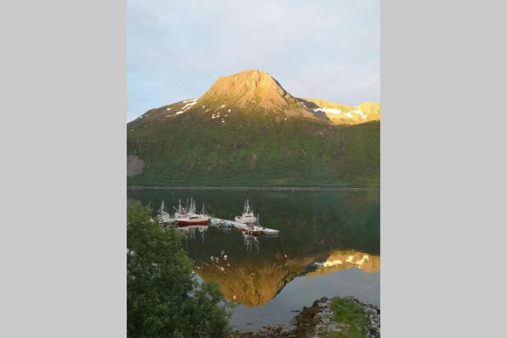 Waterfront Senja 3 Appartement Torsken Buitenkant foto