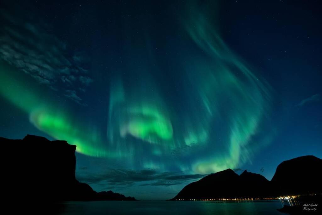 Waterfront Senja 3 Appartement Torsken Buitenkant foto