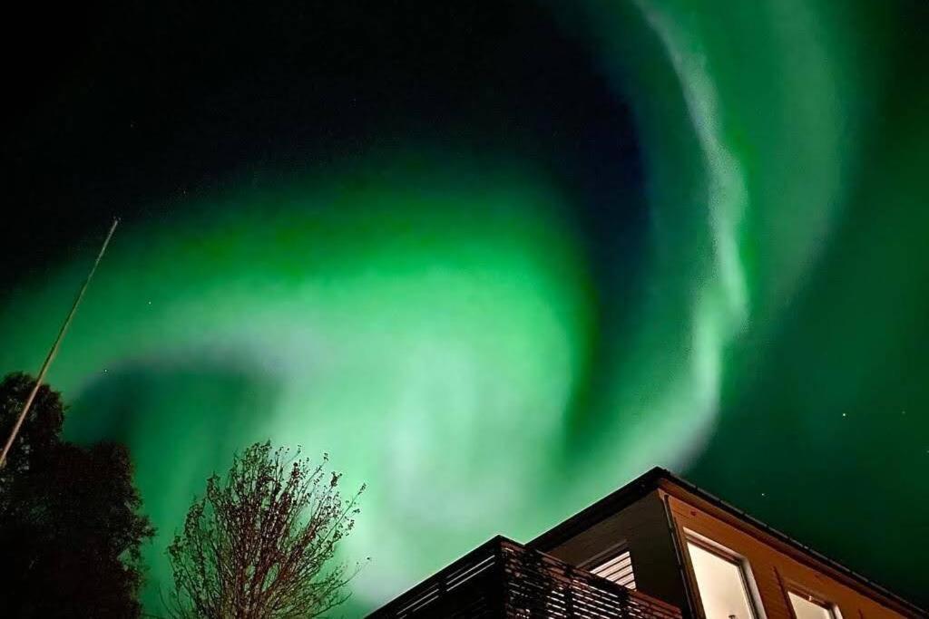Waterfront Senja 3 Appartement Torsken Buitenkant foto
